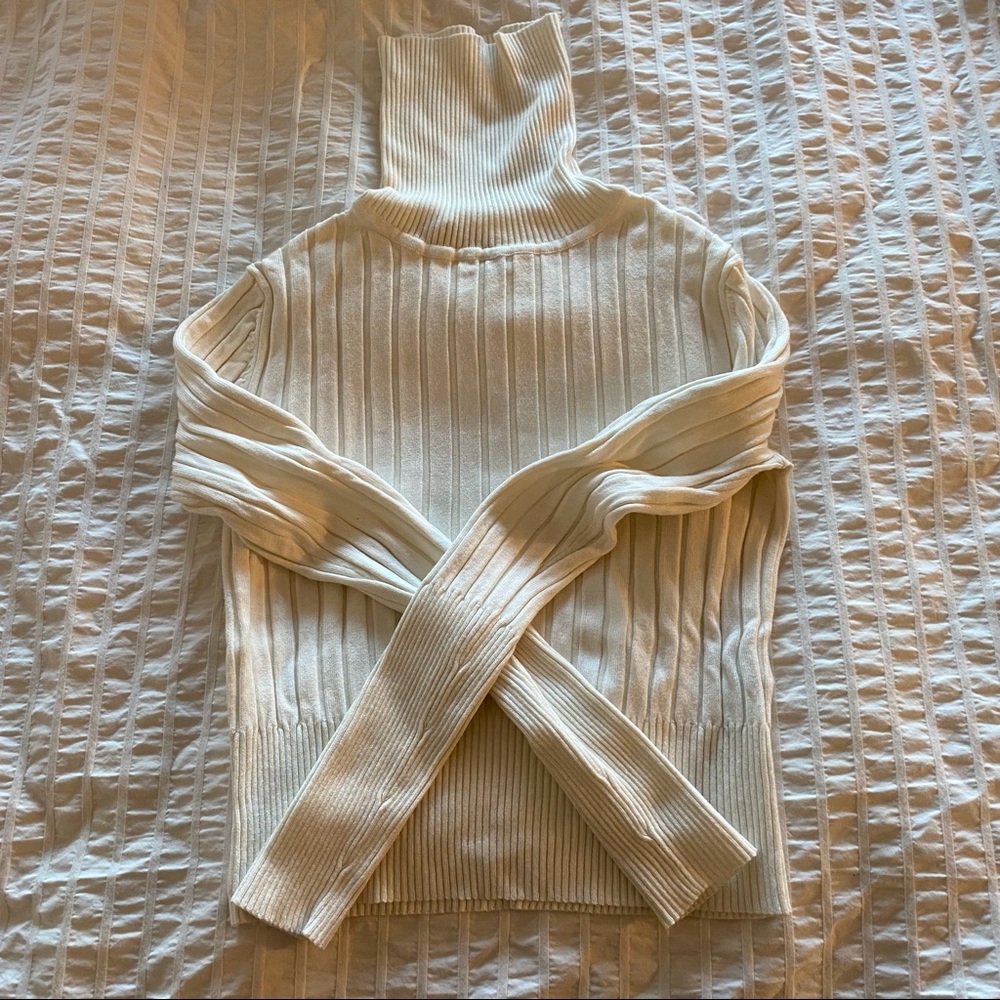 Zara Knit Cropped Turtleneck
